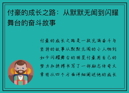 付豪的成长之路：从默默无闻到闪耀舞台的奋斗故事