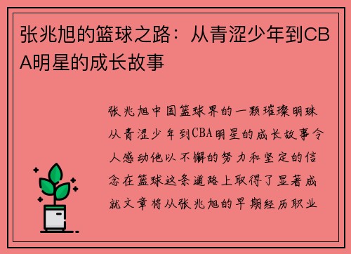 张兆旭的篮球之路：从青涩少年到CBA明星的成长故事