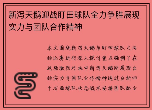 新泻天鹅迎战盯田球队全力争胜展现实力与团队合作精神