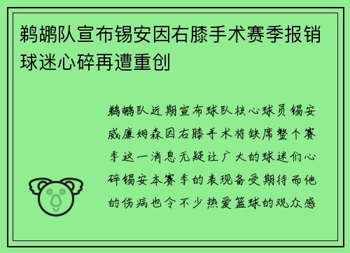 鹈鹕队宣布锡安因右膝手术赛季报销球迷心碎再遭重创